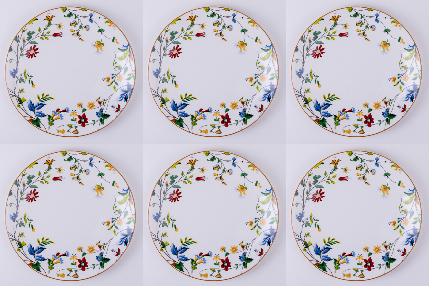 Summer Garden Dinner Plates - Set of 2