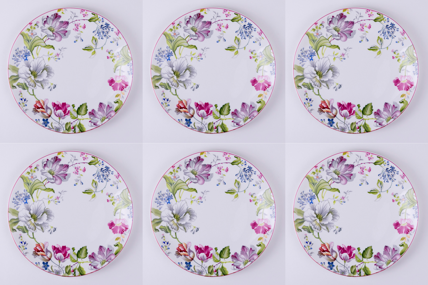 Garden Splendor Dinner Plates - Set of 2