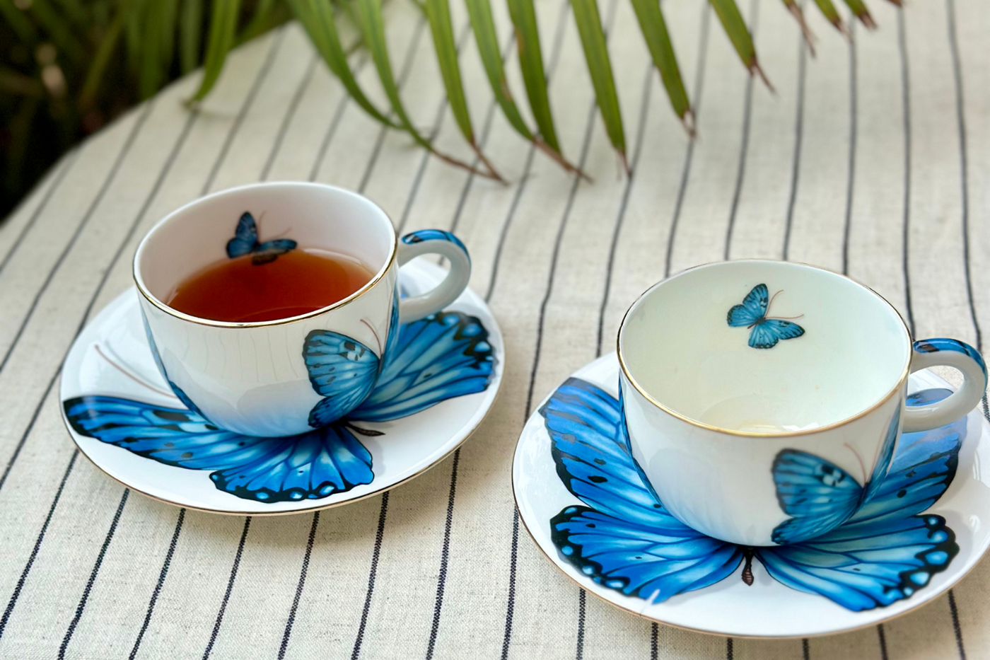 Blue Monarch Butterfly Cup & Saucer | 2 Cups & 2 Saucers | 180 ml