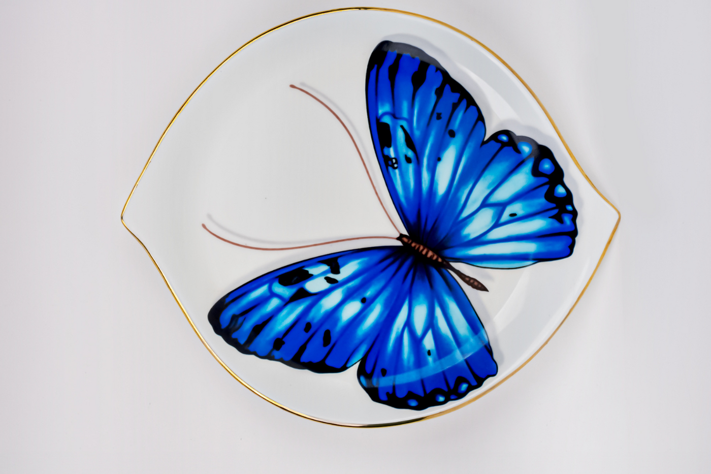 Blue Monarch Butterfly Leaf Dish - Set of 2