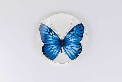 Blue Monarch Butterfly side plates - Set of 4