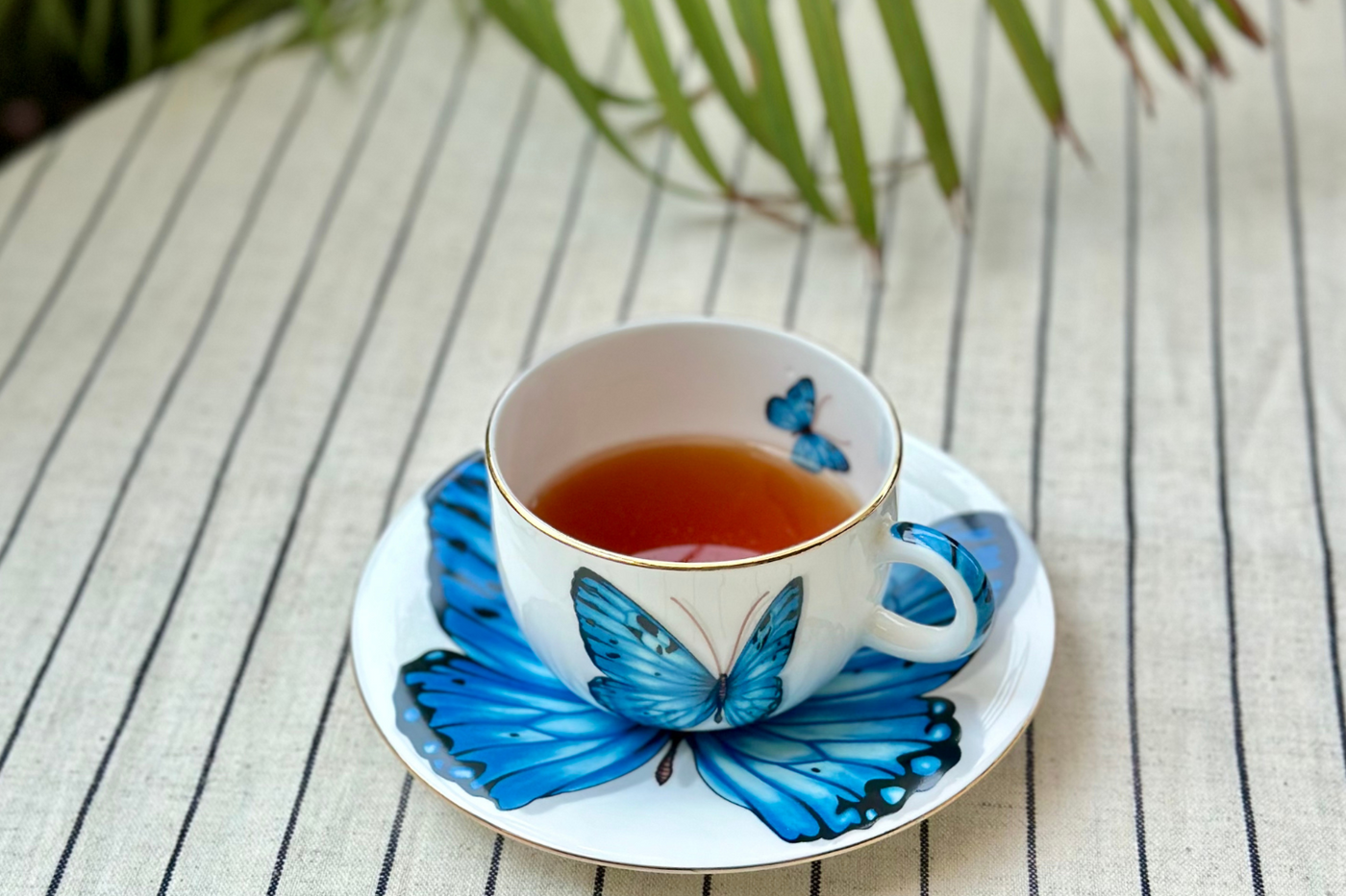 Blue Monarch Butterfly Cup & Saucer | 2 Cups & 2 Saucers | 180 ml