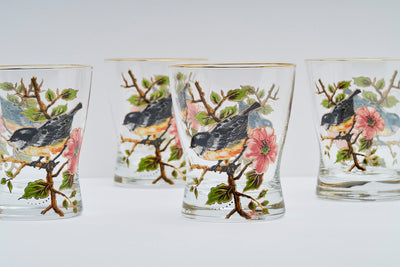 Songbird Short Tumbler – Set of 6