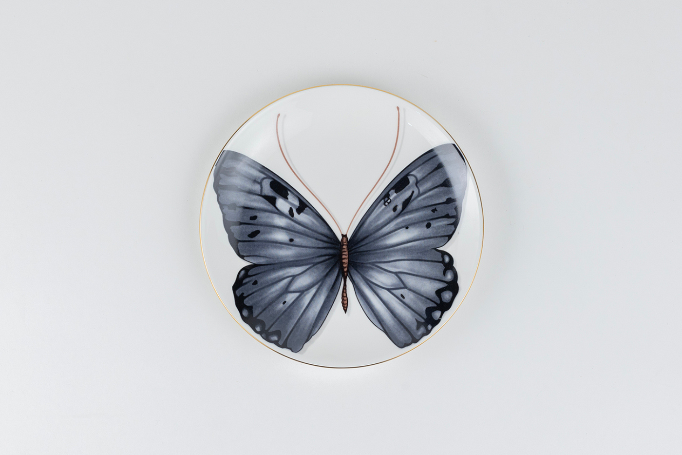 Grey Monarch Butterfly side plates - Set of 4