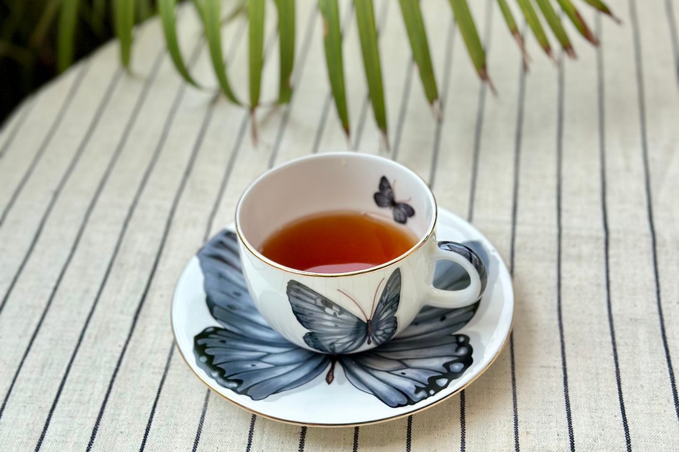 Grey Monarch Butterfly Cup & Saucer | 2 Cups & 2 Saucers | 180 ml