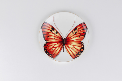 Orange Monarch Butterfly side plates - Set of 4