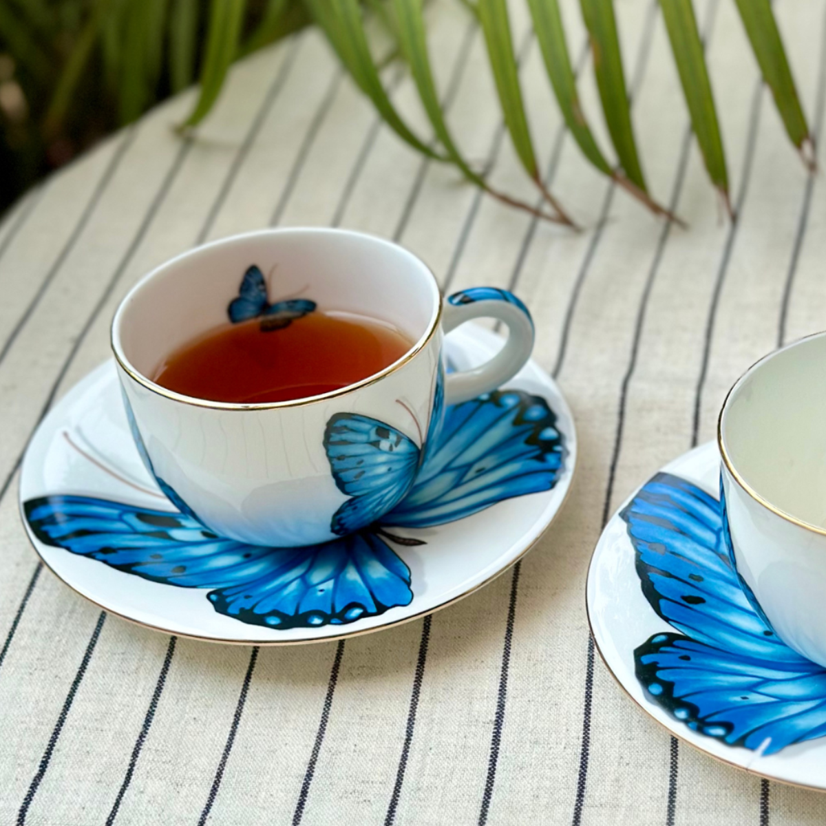 Blue Monarch Butterfly Cup & Saucer | 2 Cups & 2 Saucers | 180 ml