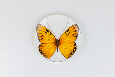 Golden Monarch Butterfly side plates - Set of 4